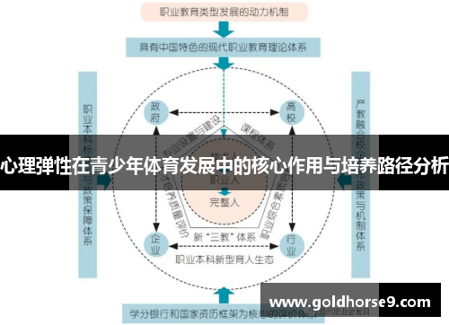 心理弹性在青少年体育发展中的核心作用与培养路径分析