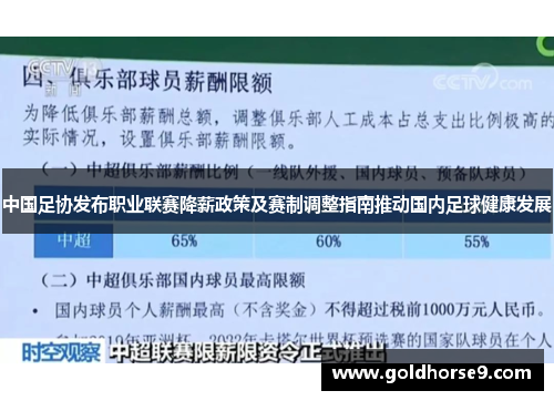 中国足协发布职业联赛降薪政策及赛制调整指南推动国内足球健康发展