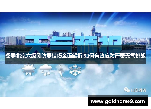 冬季北京六级风防寒技巧全面解析 如何有效应对严寒天气挑战
